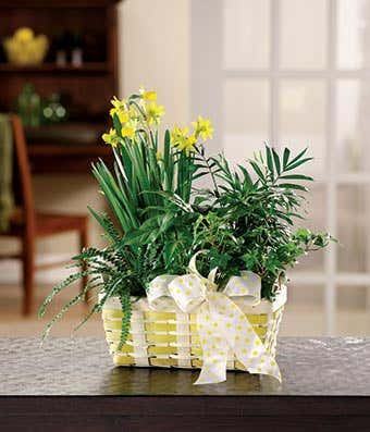 Spring Flower and Plant Basket
